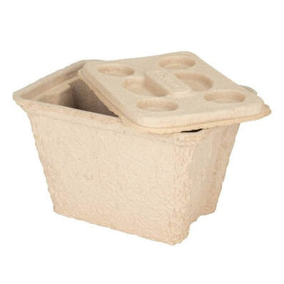 Biodegradable Shipping coolers
